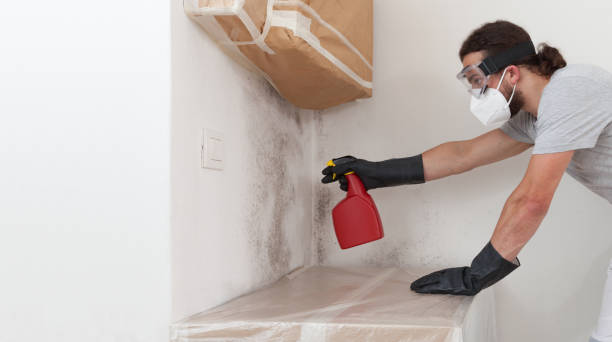 Professional Basement Mold Remediation technician working in Lititz, PA