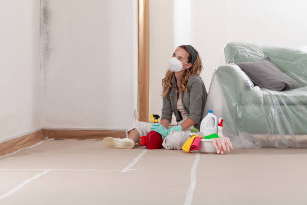 Reliable Basement Mold Remediation contractor in Lititz, PA by WQB Mold Removal